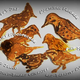 Illustration for article titled Animals in Unbelievable Detail Drawn Entirely in Pancake Batter